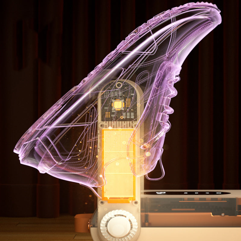 Smart Shoe Dryer and Deodorizer