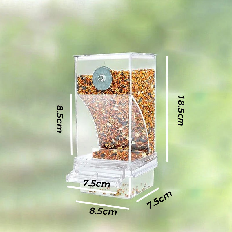 🎉Limited‑Time 50% OFF 🐦No Mess Automatic Bird Feeder