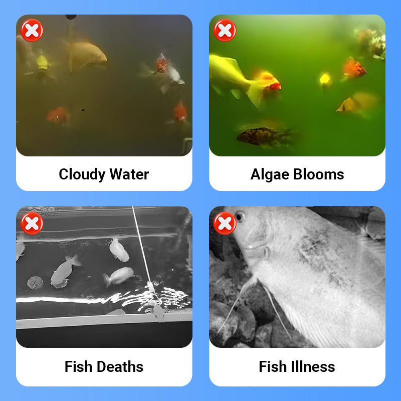 Powerful Aquarium Water Clarifier