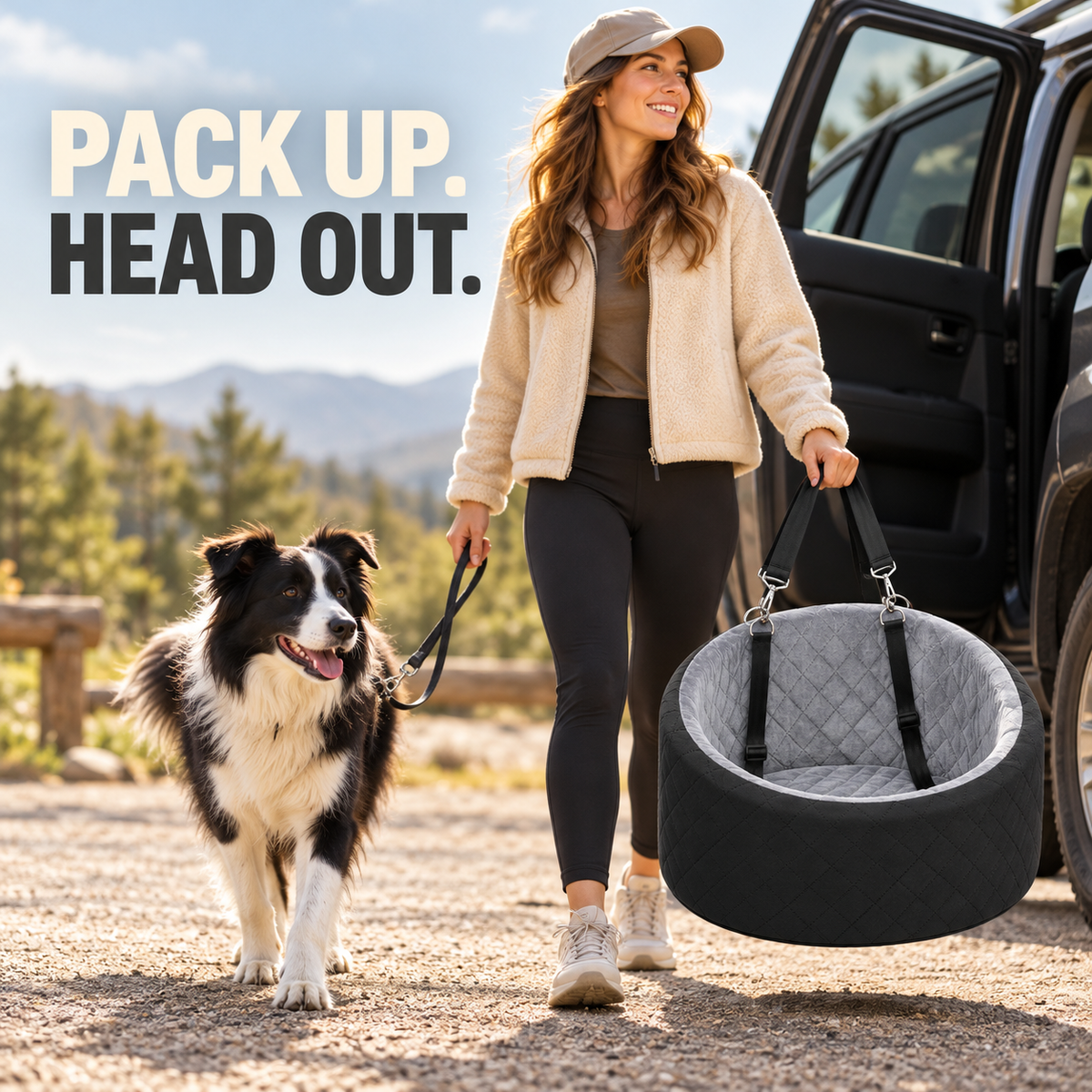 Car Dog Seat &amp; Portable Pet Carrier