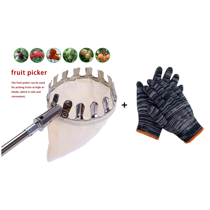 50% OFF !! ⏰Fruit Picker Head Basket – Durable Design, Easy Attach & Perfect for Reaching High Branches Without a Ladder 🌳（副本）