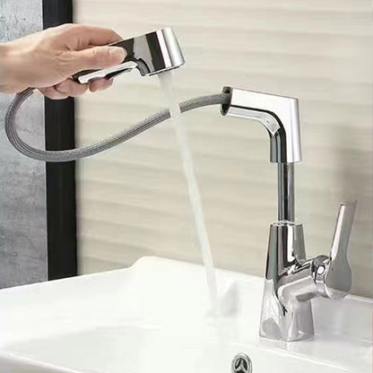 1 Hole Bathroom Faucet with Pull Out Sprayer