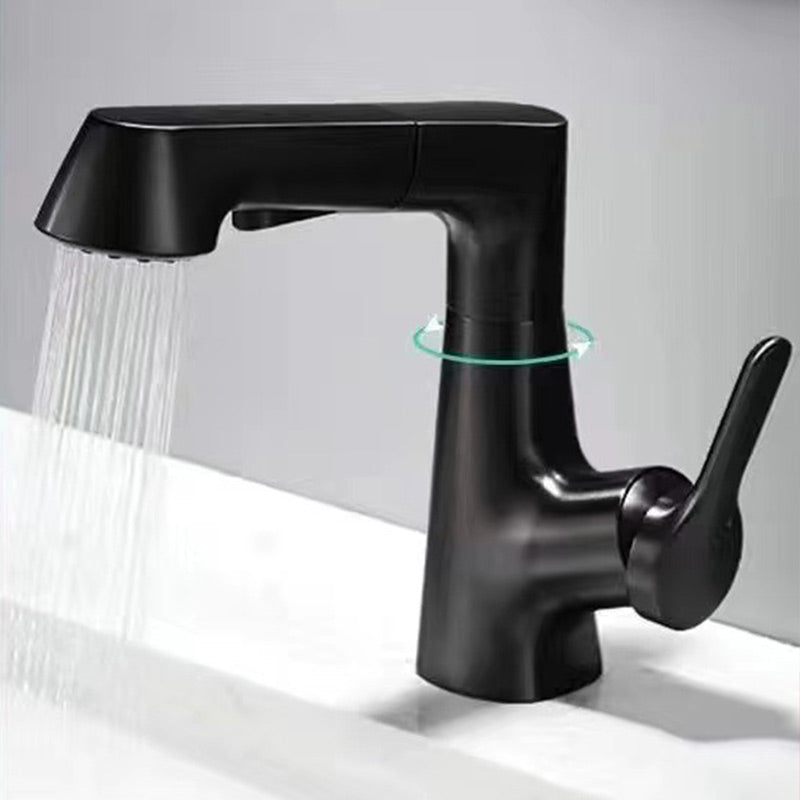 1 Hole Bathroom Faucet with Pull Out Sprayer