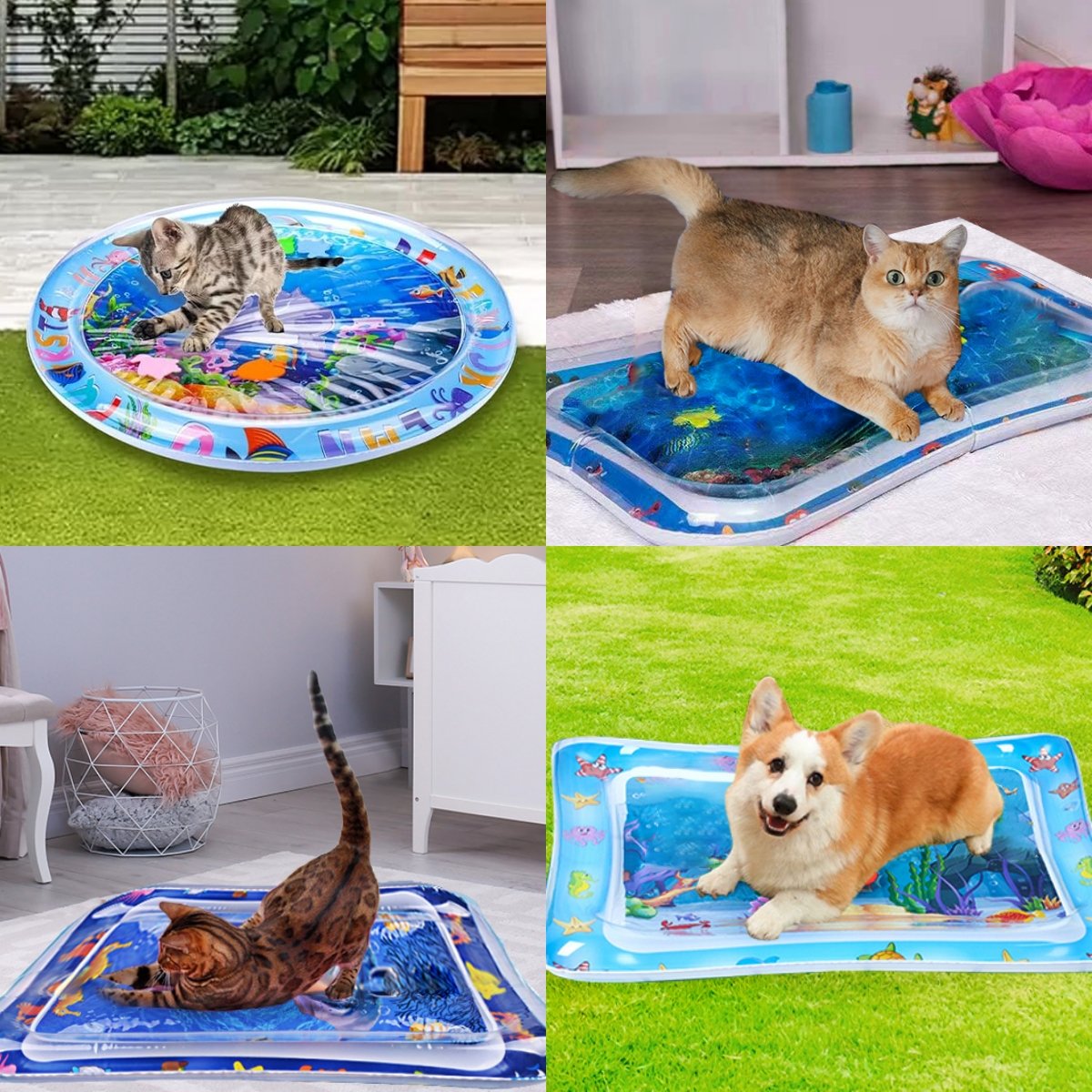 😻Water mat for pet– interactive toy with floating fish + cooling summer mat