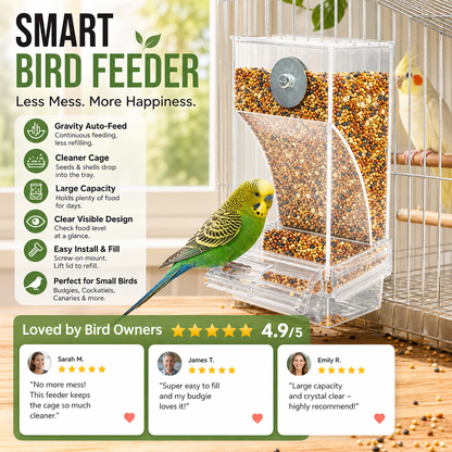 🎉Limited‑Time 50% OFF 🐦No Mess Automatic Bird Feeder