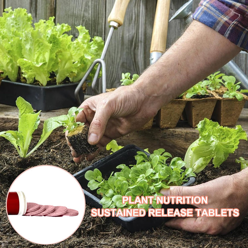 🌿🔋 Slow Release Tablet Fertilizer! 6 months of long-lasting nutrients, 0 mistakes for lazy people to raise flowers 💧!