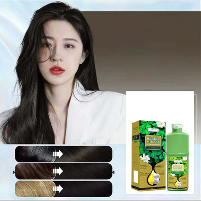 💇‍♀️Long‑Lasting Plant‑Based Foam Hair Dye｜Ammonia‑Free Easy DIY At‑Home Foam Hair Color