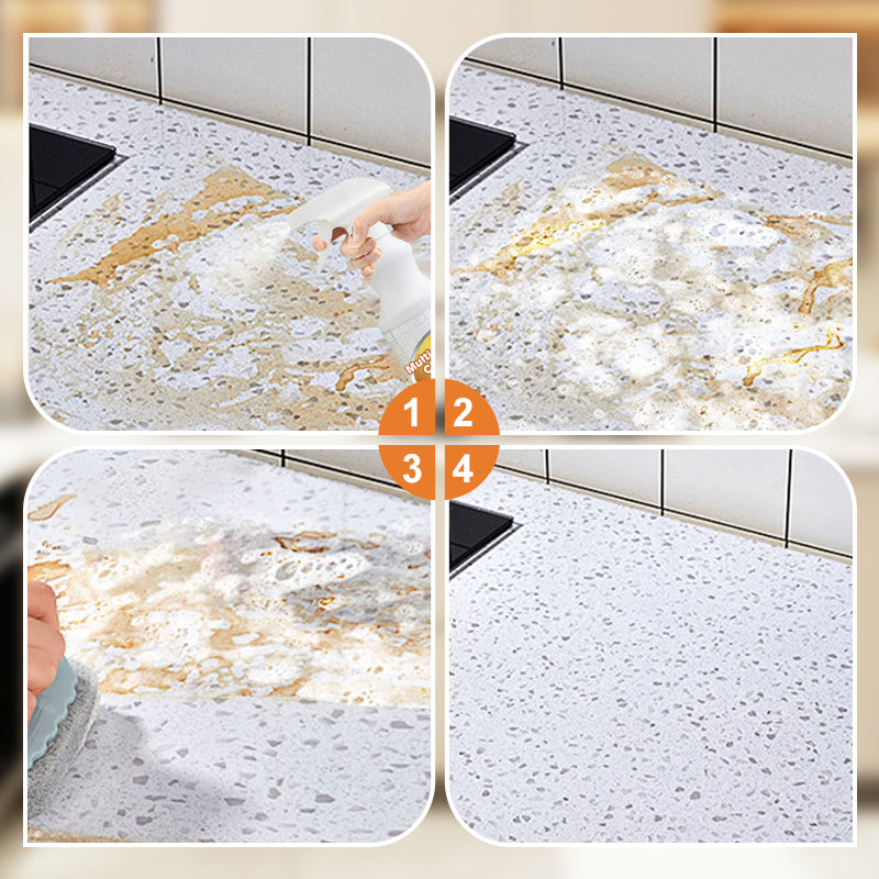 Multipurpose Household Cleaning Spray for Appliance