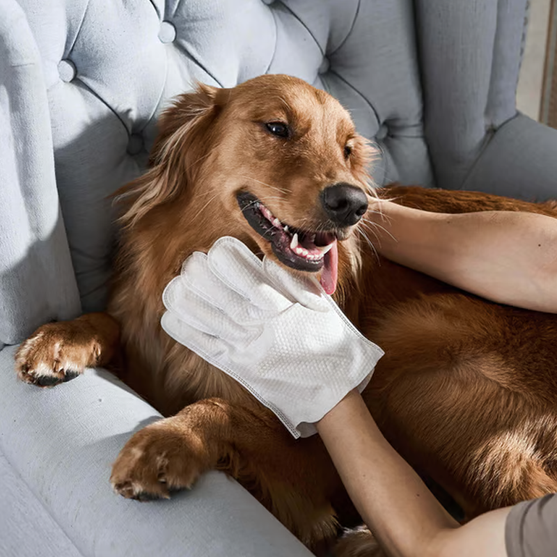 Rinse-Free Pet Cleaning Deodorizing Gloves