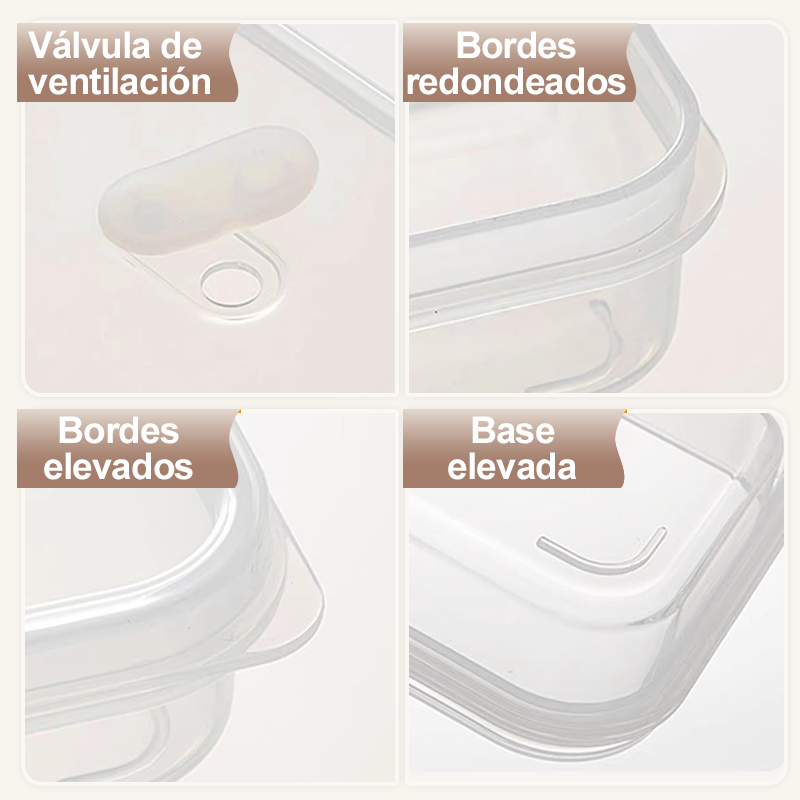 Contenedor de Alimentos Reutilizable con Divisiones