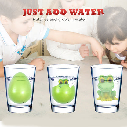 Hatching Growing Animal Eggs Toys for Kids