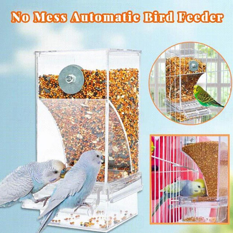 🎉🎉🎉Limited‑Time 50% OFF 🐦No Mess Automatic Bird Feeder