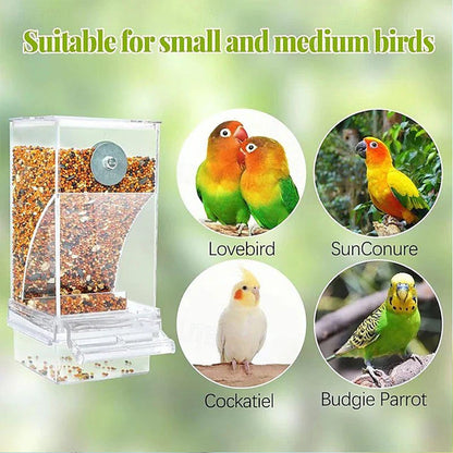🎉🎉🎉Limited‑Time 50% OFF 🐦No Mess Automatic Bird Feeder