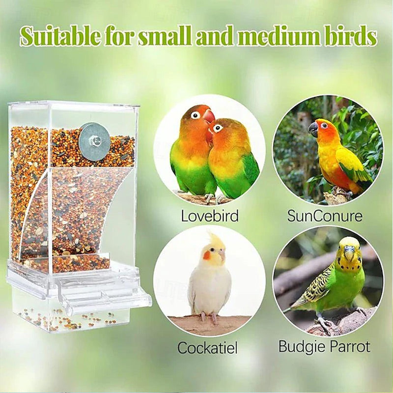 🎉Limited‑Time 50% OFF 🐦No Mess Automatic Bird Feeder