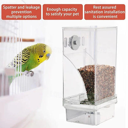 🎉Limited‑Time 50% OFF 🐦No Mess Automatic Bird Feeder