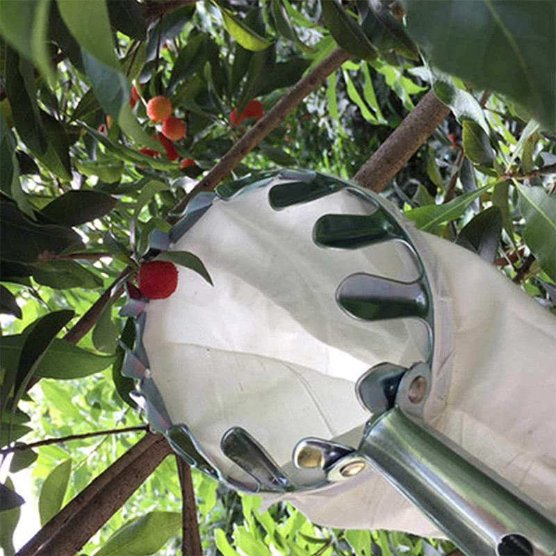 50% OFF !! ⏰Fruit Picker Head Basket – Durable Design, Easy Attach & Perfect for Reaching High Branches Without a Ladder 🌳（副本）
