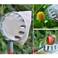 50% OFF !! ⏰Fruit Picker Head Basket – Durable Design, Easy Attach & Perfect for Reaching High Branches Without a Ladder 🌳（副本）