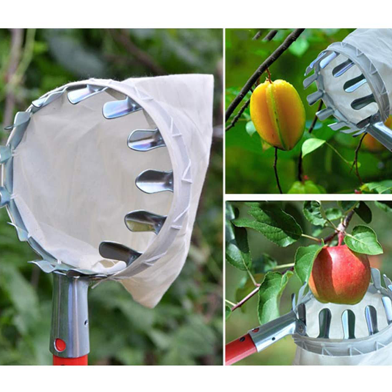 50% OFF !! ⏰Fruit Picker Head Basket – Durable Design, Easy Attach & Perfect for Reaching High Branches Without a Ladder 🌳（副本）