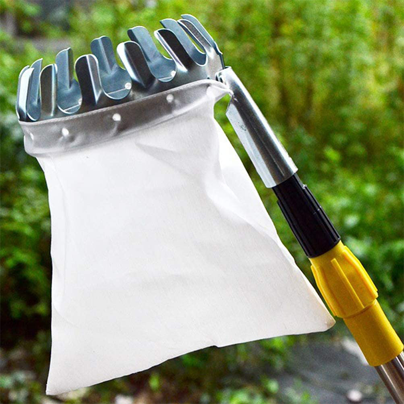 50% OFF !! ⏰Fruit Picker Head Basket – Durable Design, Easy Attach & Perfect for Reaching High Branches Without a Ladder 🌳（副本）