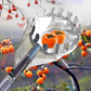 50% OFF !! ⏰Fruit Picker Head Basket – Durable Design, Easy Attach & Perfect for Reaching High Branches Without a Ladder 🌳（副本）
