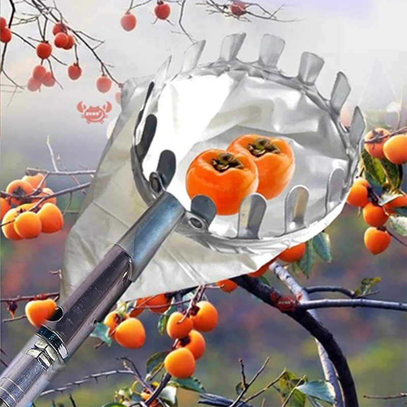 50% OFF !! ⏰Fruit Picker Head Basket – Durable Design, Easy Attach & Perfect for Reaching High Branches Without a Ladder 🌳（副本）