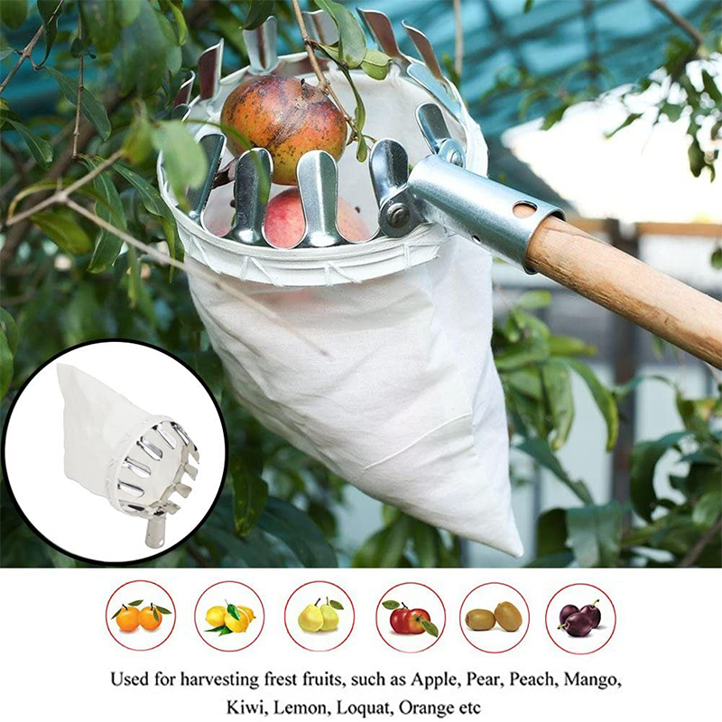50% OFF !! ⏰Fruit Picker Head Basket – Durable Design, Easy Attach & Perfect for Reaching High Branches Without a Ladder 🌳（副本）