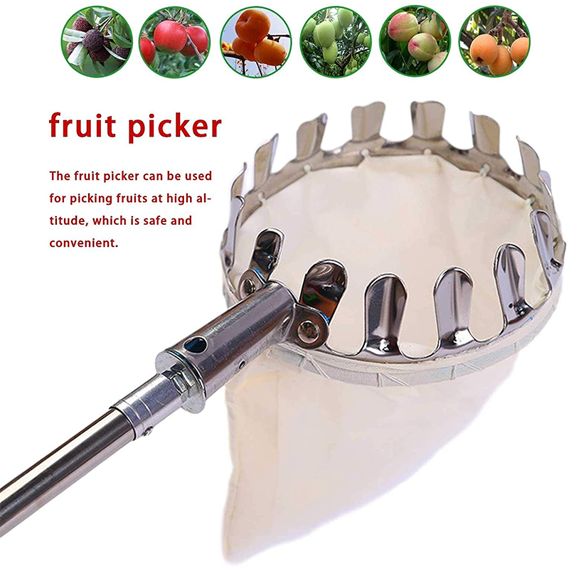 50% OFF !! ⏰Fruit Picker Head Basket – Durable Design, Easy Attach & Perfect for Reaching High Branches Without a Ladder 🌳（副本）