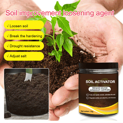 ⏳Time-Limited Special！⛰️Soil Activated Treasure-You Will Be Amazed!