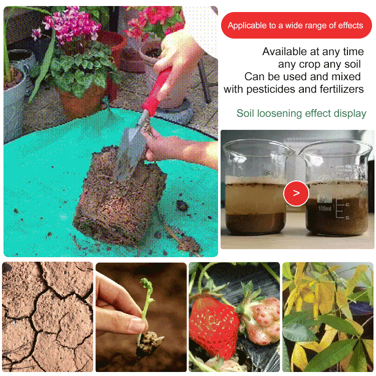 ⏳Time-Limited Special！⛰️Soil Activated Treasure-You Will Be Amazed!