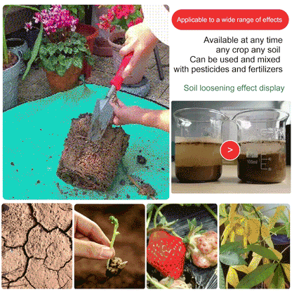 ⏳Time-Limited Special！⛰️Soil Activated Treasure-You Will Be Amazed!