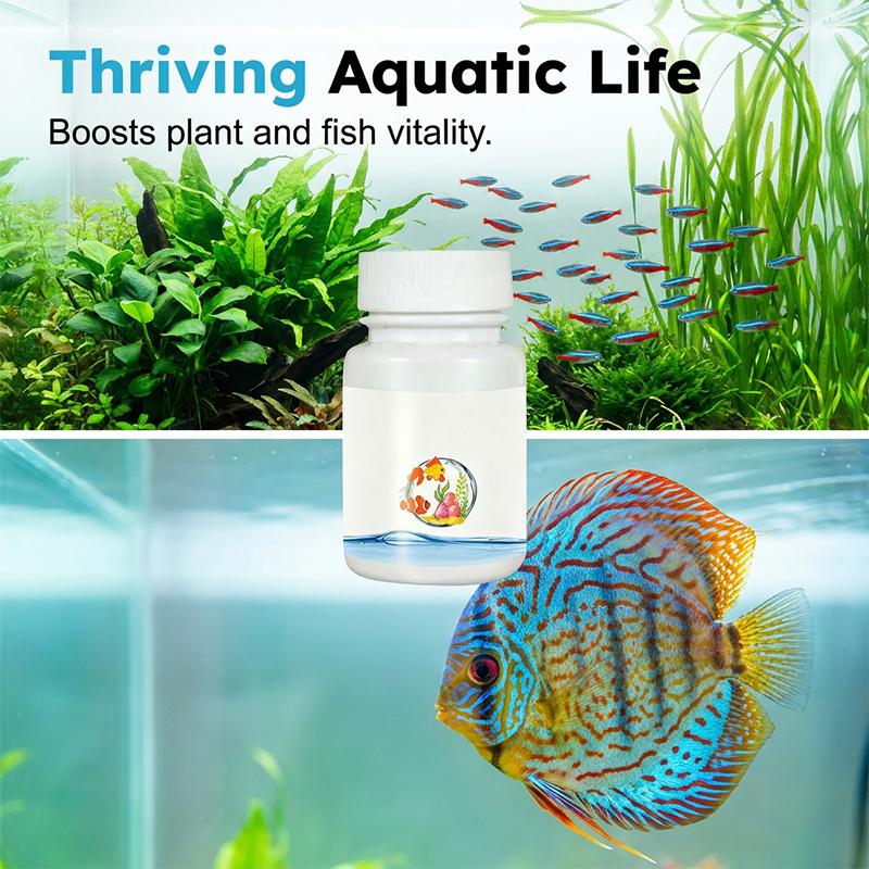 ⏰🔥50% OFF! 🌿 Instant Water Dechlorinator – Safe & Healthy Fish Tanks 🐠
