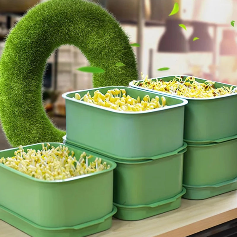 🌱 Stackable Bean Sprout Grower Box with Lid