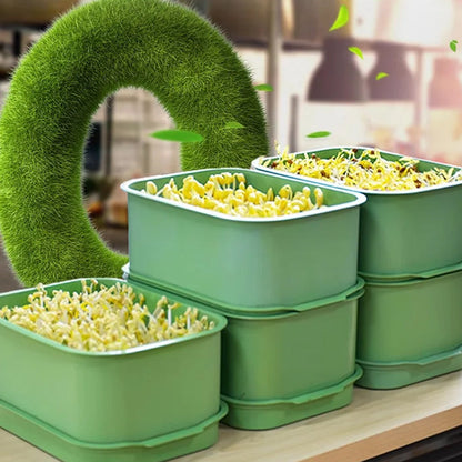 🌱 Stackable Bean Sprout Grower Box with Lid