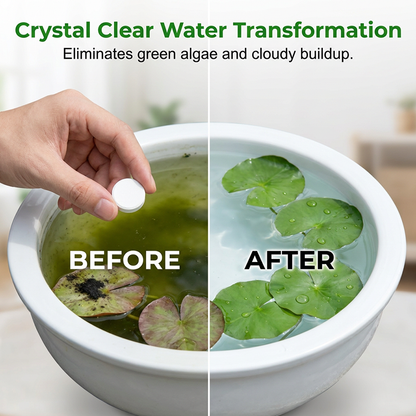 🥳2026 HOT SALE🥳💞50K+ SOLD!💧🌿 50% OFF! Water Purification Tablets – Clears algae & cloudiness, keeps plant water crystal clean. One tablet, instant results! 🌱✨