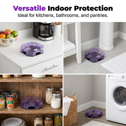 Reusable and Effective Roach Trap