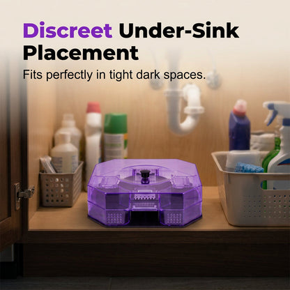Reusable and Effective Roach Trap