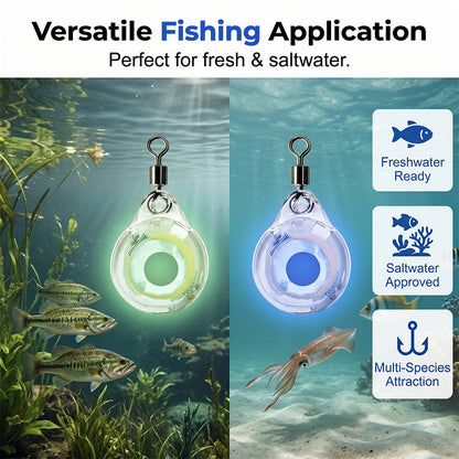 Mini Underwater LED Fishing Light