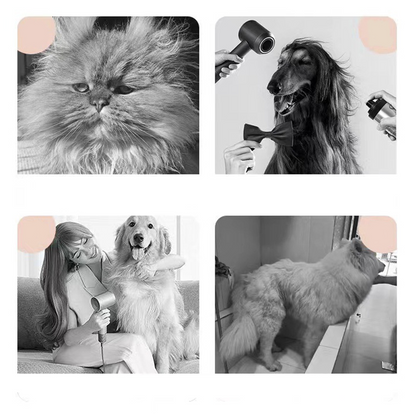 3-in-1 Pet Steam Grooming Brush