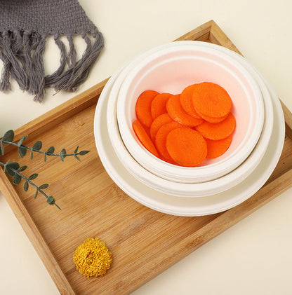 Disposable Biodegradable Plate