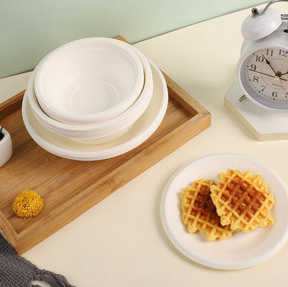 Disposable Biodegradable Plate