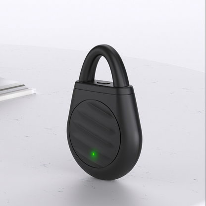Portable Ultrasonic Bird Repellent Keychain