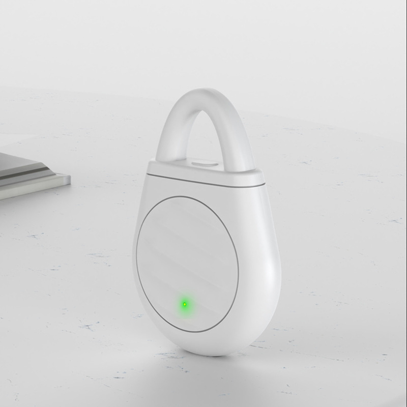 Portable Ultrasonic Bird Repellent Keychain