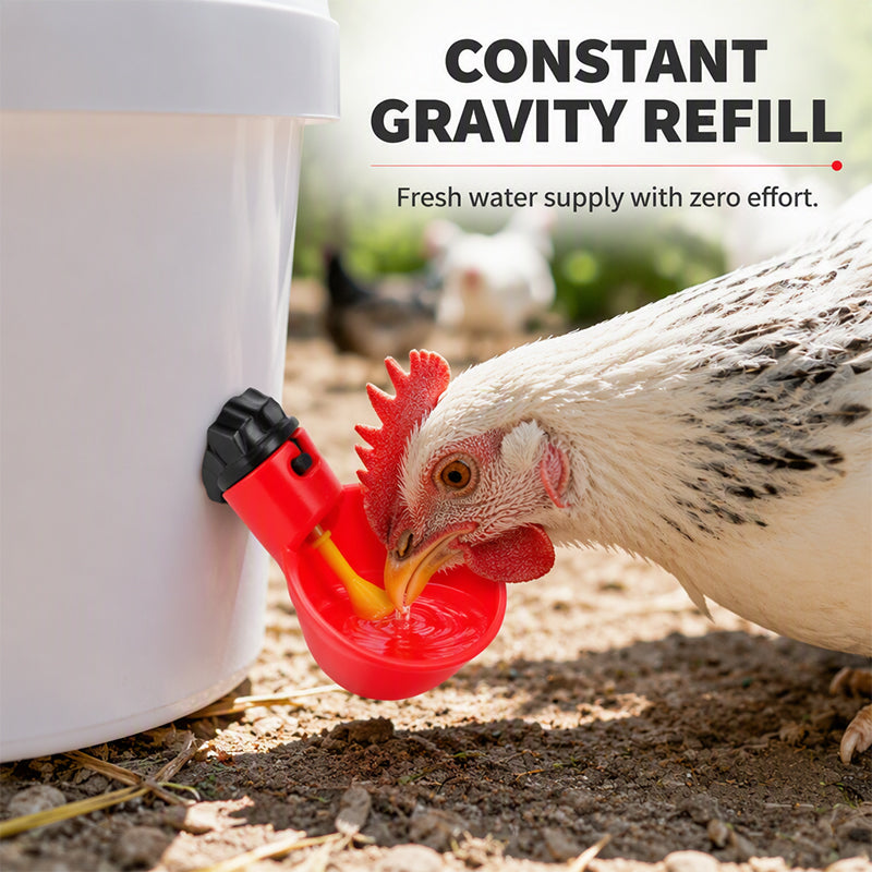 Gravity-Fed Automatic Chicken Waterer Cups