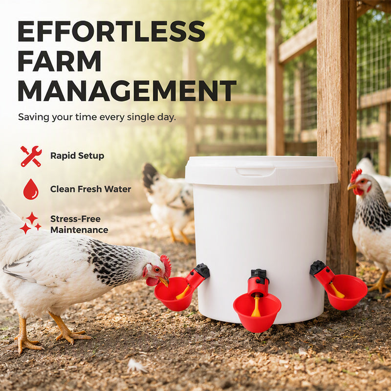 Gravity-Fed Automatic Chicken Waterer Cups