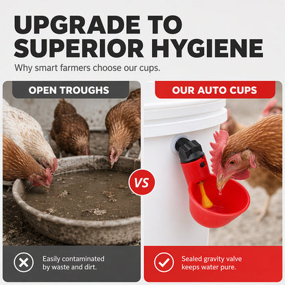 Gravity-Fed Automatic Chicken Waterer Cups