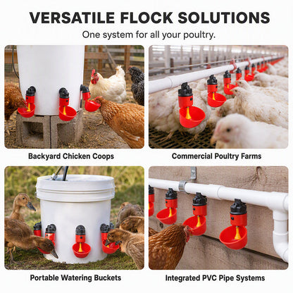 Gravity-Fed Automatic Chicken Waterer Cups