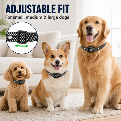 🥳2026 HOT SALE🥳💞50K+ SOLD! 🛡️🐾 50% OFF! Anti Bark Collar – Smart anti‑false triggering filters out other barks. IP67 waterproof & USB rechargeable – worry‑free training anywhere! 💦✅