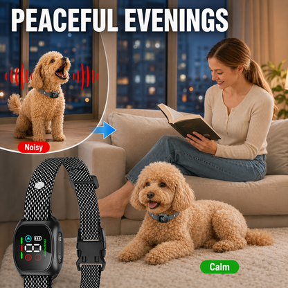🥳2026 HOT SALE🥳💞50K+ SOLD! 🛡️🐾 50% OFF! Anti Bark Collar – Smart anti‑false triggering filters out other barks. IP67 waterproof & USB rechargeable – worry‑free training anywhere! 💦✅