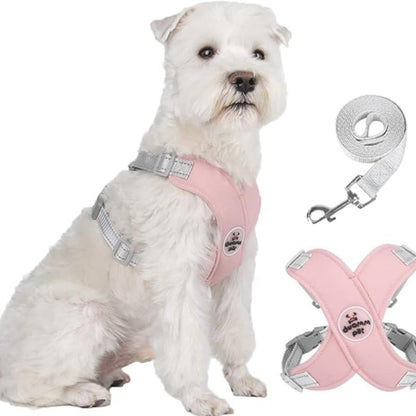 X-frame No-Pull Dog Harness Set with Leash