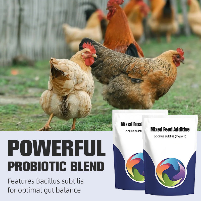 Probiotic & Enzyme Feed Additive